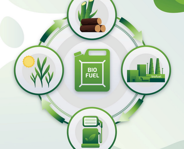 Iran War Likely to Hasten Self-Reliance Quest