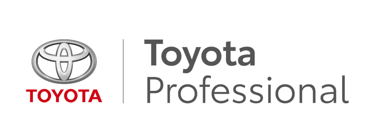 Toyota Professional targets European LCV market