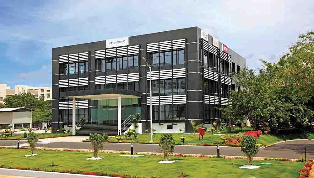 mysore-plant