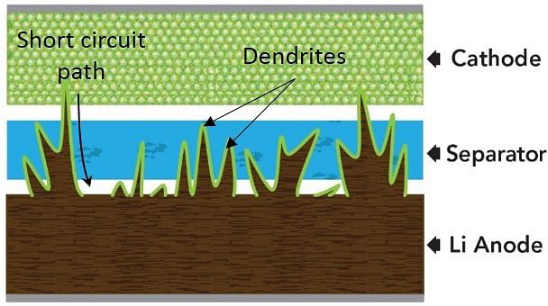 dendrides-formation-image-google-images-1