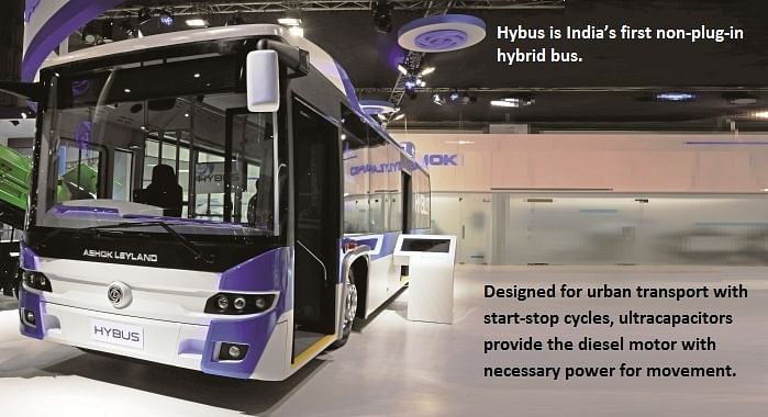 hybus