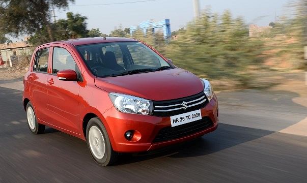 sale-celerio-dsc-0194