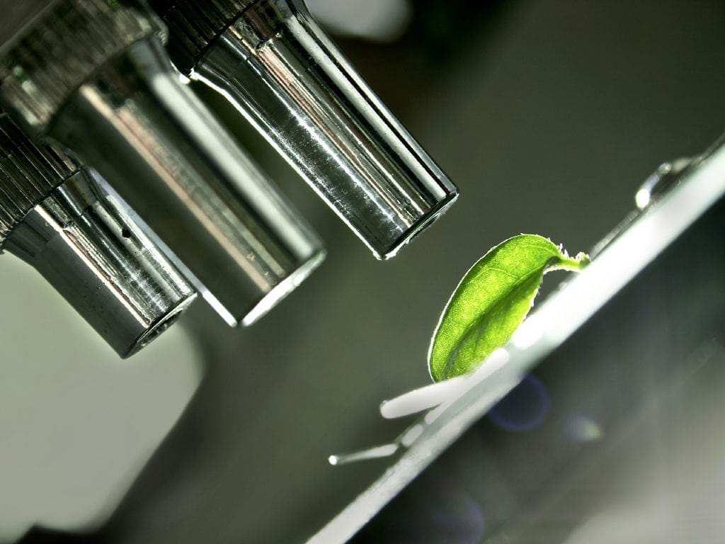 Ford tops 50 best global green brand index